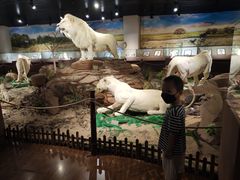 -陕西自然博物馆