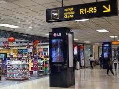 -班达拉奈克国际机场