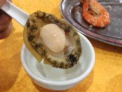 -蚝专家(北滘店)
