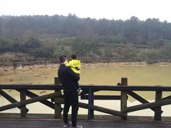 -铁山坪森林公园