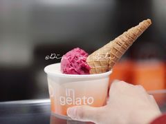 -Dip in Gelato(富民路店)