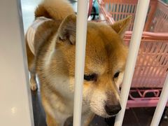 -大连凯丹广场