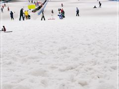 -绍兴启迪乔波冰雪世界