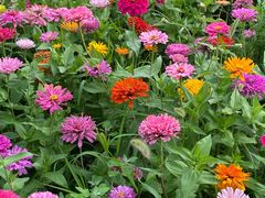 -汉长安城未央宫国家考古遗址公园