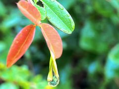 -崀山风景名胜区