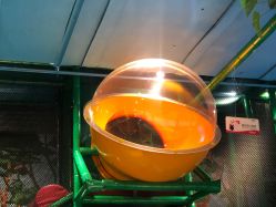 -KidSteam儿童乐园(富力城店)