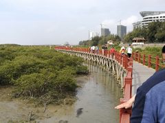 -北海金海湾红树林生态旅游区