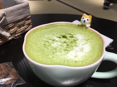 -逗柴咖啡屋·狗咖猫咖宠物桌游