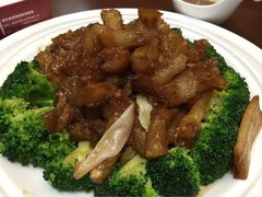郑庄脂渣海鲜楼(李村店)-郑庄脂渣海鲜楼(九水路店)