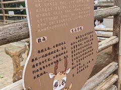 -保定市动物园
