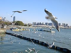 -蠡湖大桥公园