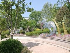 -南宫五洲植物乐园