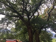 -福清灵石山国家森林公园