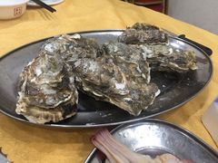-蚝专家(北滘店)