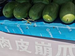 -三林塘老街