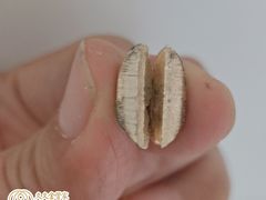 -中粮·祥云小镇