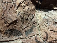 -迪庆藏族自治州博物馆