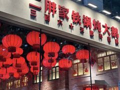 -二胖家铁锅炖大鹅(双井店)