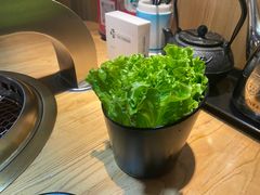 -九田家黑牛烤肉料理(新光汇店)