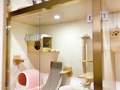 -Double Rui宠物酒店