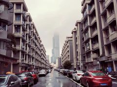 -紫峰大厦