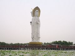 -白洋淀景区