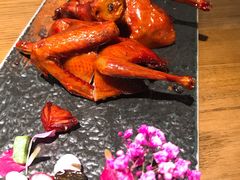 红烧鸽-大鸽饭(岗顶店)