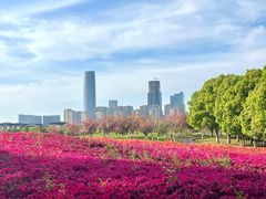 -苏州湾体育公园