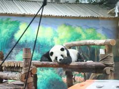 -青藏高原野生动物园