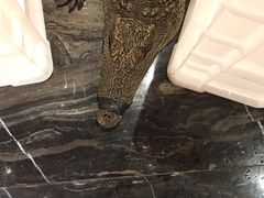 -丰卓会海鲜自助(中润大道店)