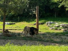 -北京野生动物园