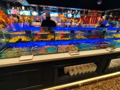 -SEA西雅图海鲜自助餐厅(海乐世界店)