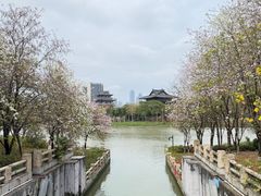-海珠湖公园
