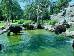 -北京野生动物园