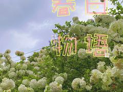 -铁山坪森林公园