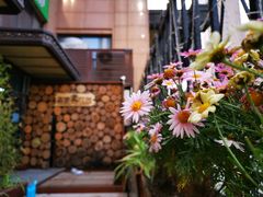 -森味薪火烧•烧鸟居酒屋•日本料理(望京店)