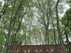 -灵谷景区