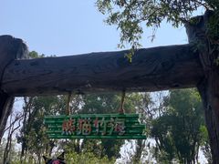 -武汉动物园