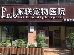 -派联宠物医院·24h·CT·异宠