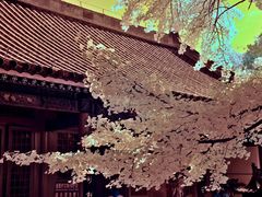 -红螺寺