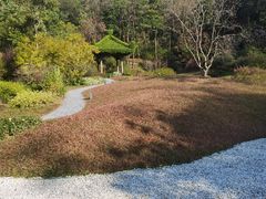 -云溪植物园