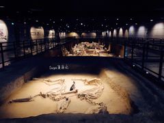 -洛阳周王城天子驾六博物馆