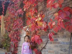 -望京楼flavor餐厅(古北水镇景区店)