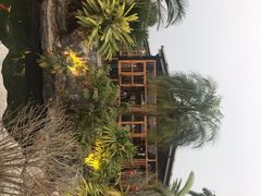 -花溪雨·森林餐厅(石基店)