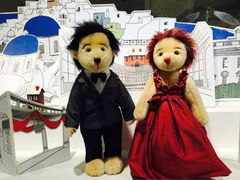 泰迪熊博物馆-济州岛泰迪熊博物馆