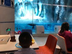 -帝企鹅自助餐厅•儿童岛•真企鹅(长隆企鹅酒店)