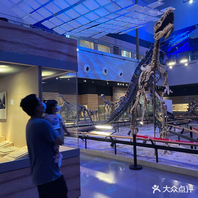 广州亲子好去处|来这里看大鲸鱼🐳广东省博物馆