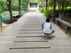 -白马涧龙池景区