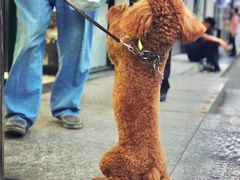 -周末相声俱乐部