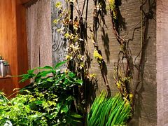 -园里火锅(仁和新城店)